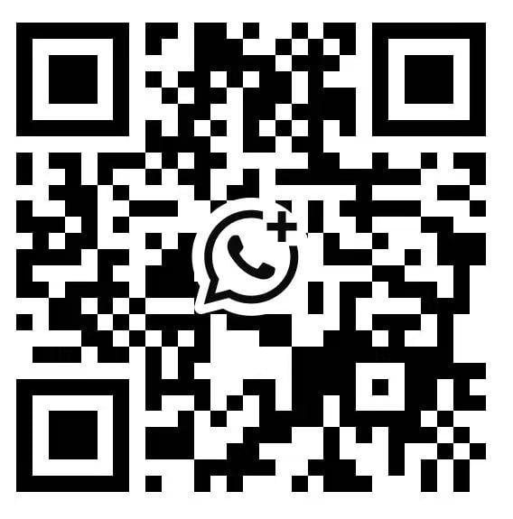 WhatsApp QR